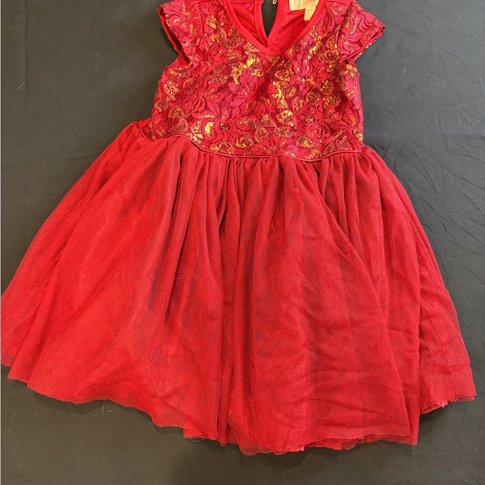 Nannette Red and Gold Floral Kids Formal Dress